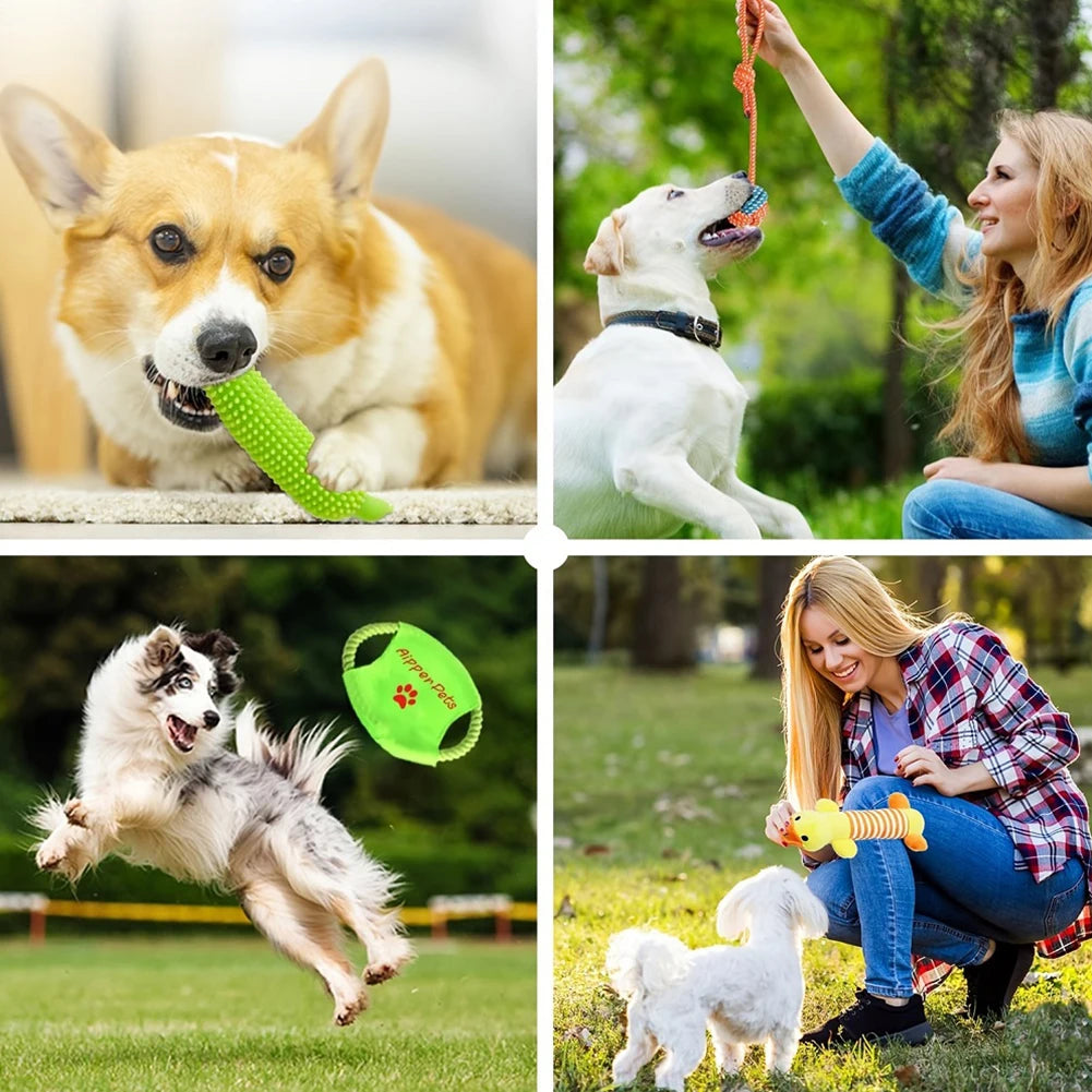 25PCS Various Puppy Dog Toys for Teething Entertainment & Interaction Puppy Chew Toys Pack with Rope Toy for Puppies & Small Dog