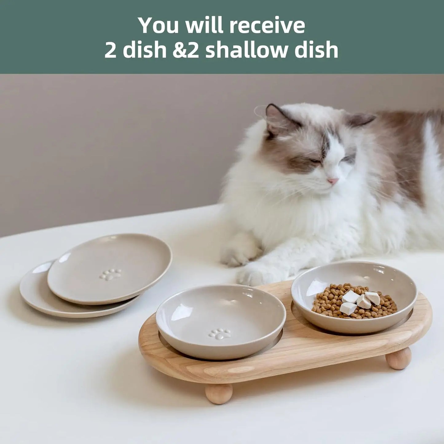 Raised Ceramic Cat Dishes, 2-in-1 Food & Water Bowl Set with Adjustable Stand, Anti-Fatigue Design