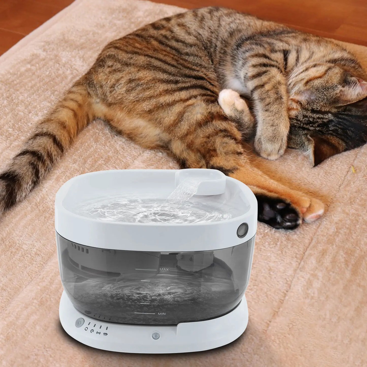 Cat Water Fountain, Pet Water Fountain, Cat Drinking Fountain