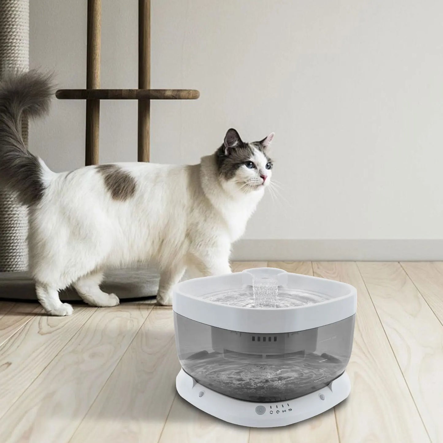 Cat Water Fountain, Pet Water Fountain, Cat Drinking Fountain