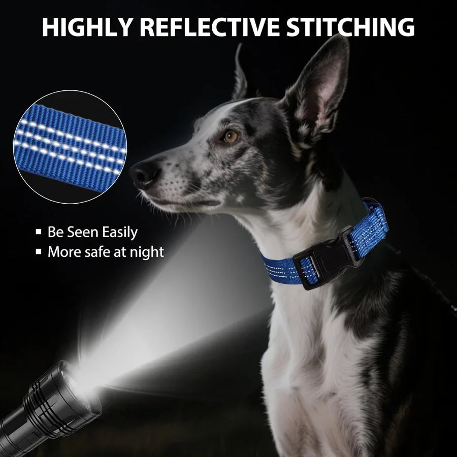 Martingale Dog Collar Quick Release Buckle No Pull Reflective Non-Slip for Medium Large Dogs Training Blue Medium