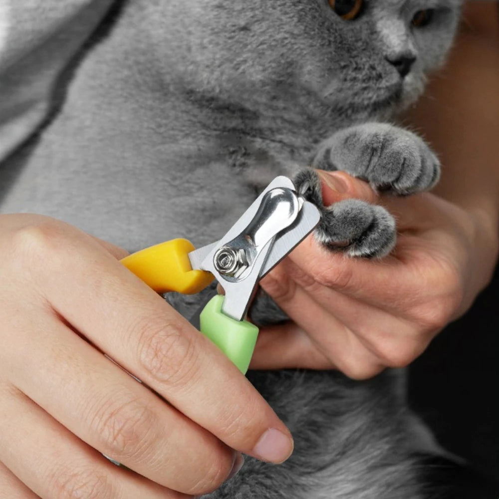 Dog Nail Clippers Dog Nail Dogs Nailclippers Set Pet Grooming Stainless Steel Nailclippers for Dogs Claw Clean