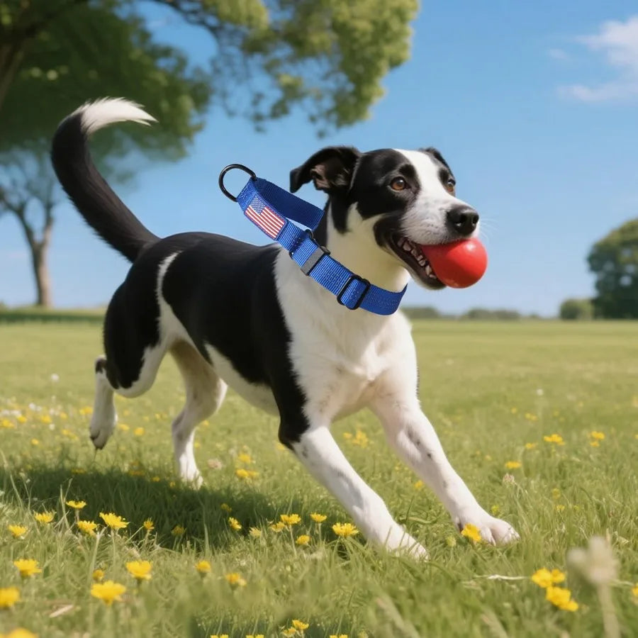 Martingale Dog Collar Quick Release Buckle No Pull Reflective Non-Slip for Medium Large Dogs Training Blue Medium