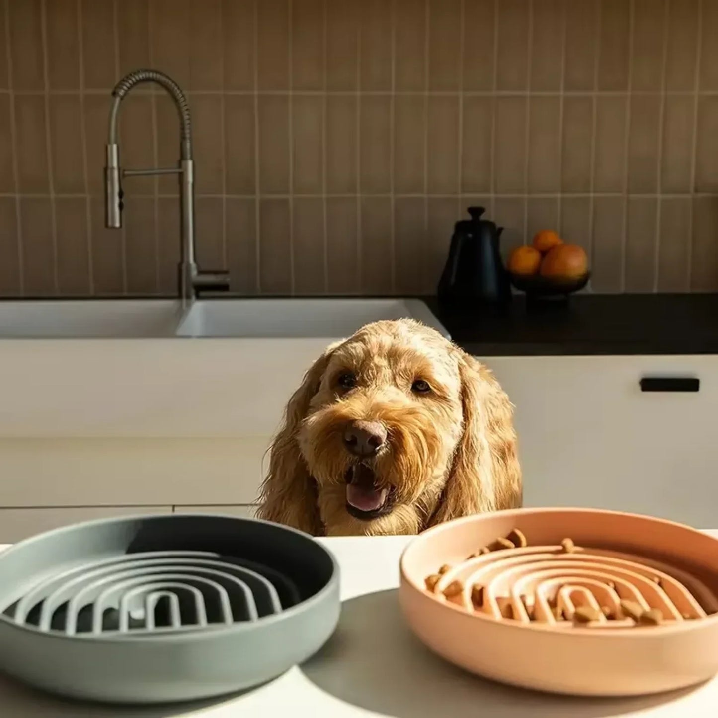 Slow Feeder Dog Bowl, Round Silicone Anti-choking Food and Water Bowl, Anti-slip Suction Cup, Uplifting